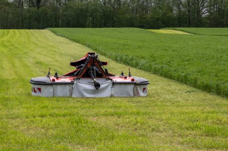 Brush Hogging Service