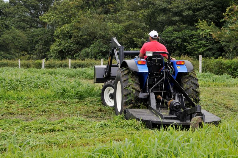 Lot Bush Hogging in Calvert County, MD