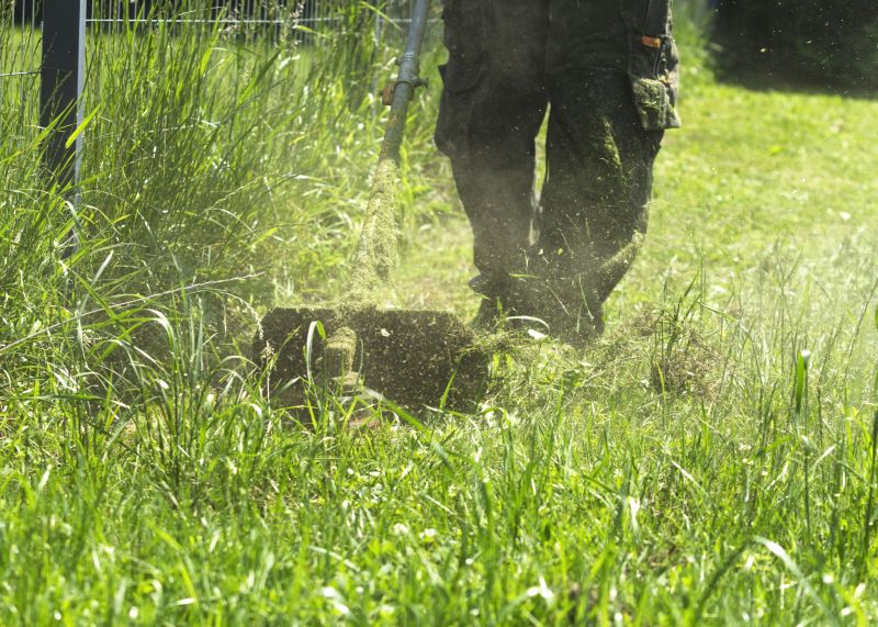 Meadow Mowing in Duluth, MN
