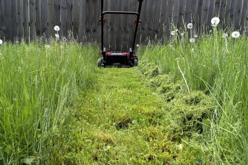 Overgrown Lawn Trimming in Bowie, MD