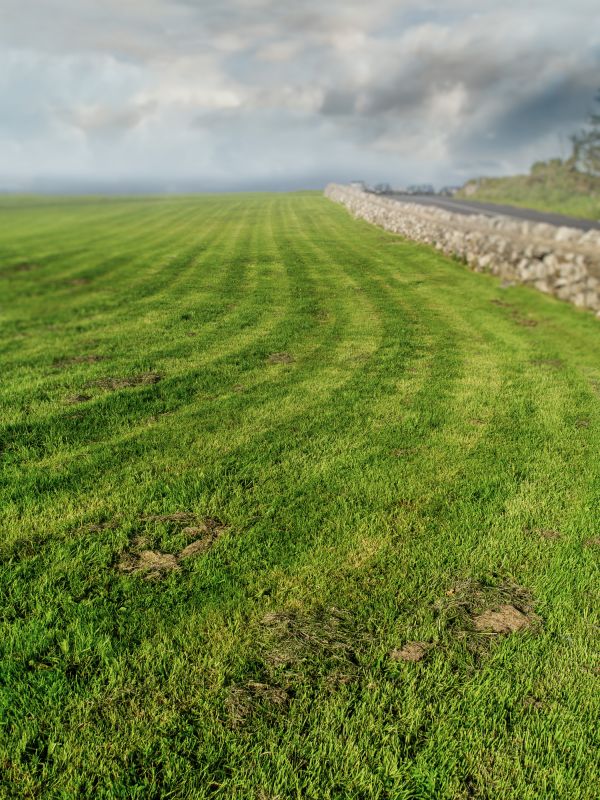 Pasture Mowing in Calvert County, MD