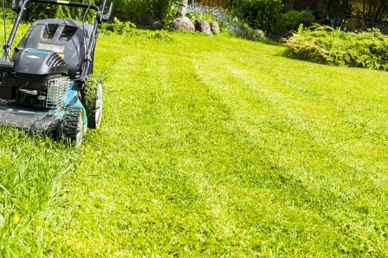 Pasture Mowing in Duluth, MN