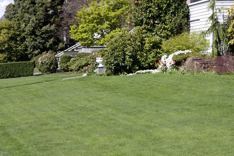 Spring Lawn Maintenance in Bowie, MD