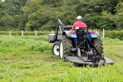 Use Large and Powerful Cutting Machines to Clear the Property!