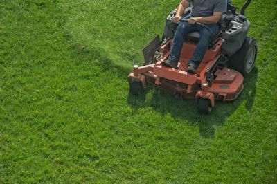 Clear Away Overgrown Vegetation and Brush with Brush Hogging Service!