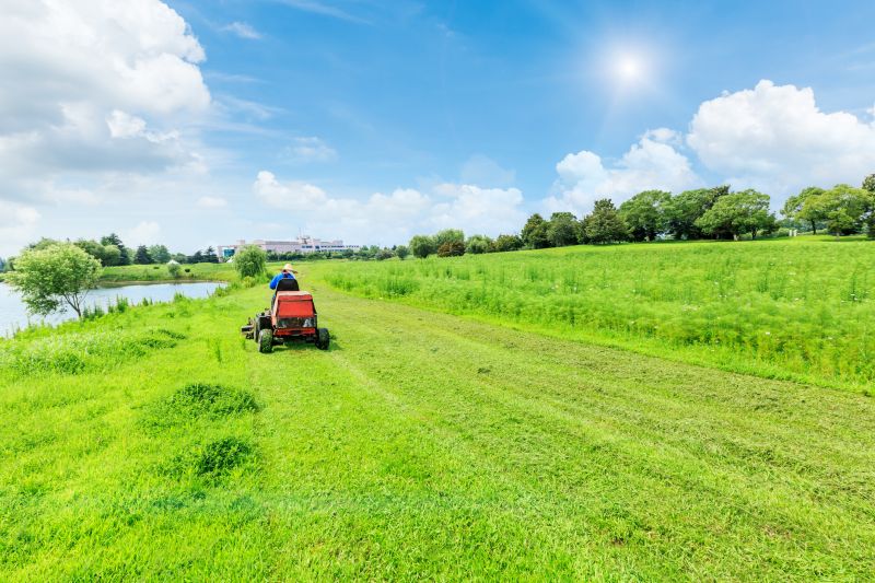 Bush Hog Mowing in Calvert County, MD